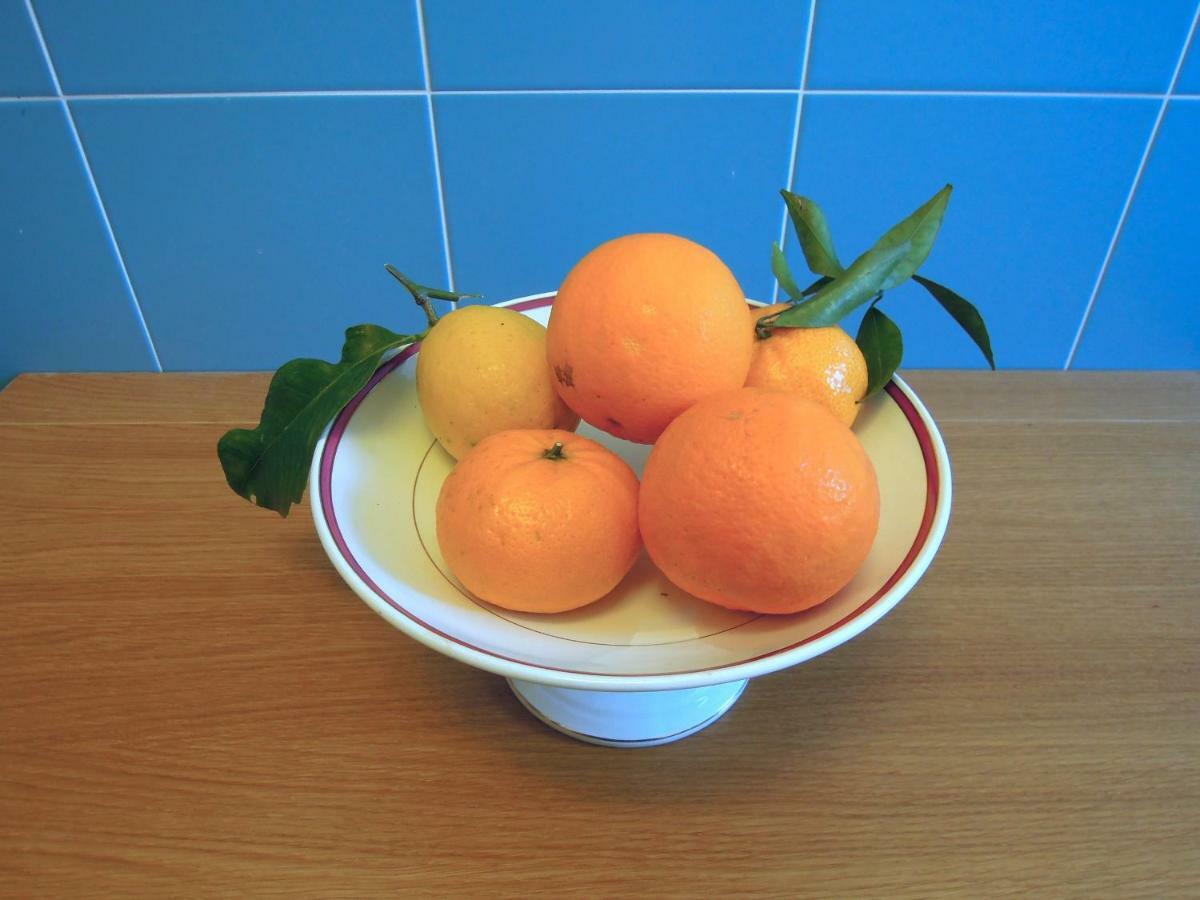 상트아그넬로 Casa De Angelis Orange & Blue 아파트 외부 사진